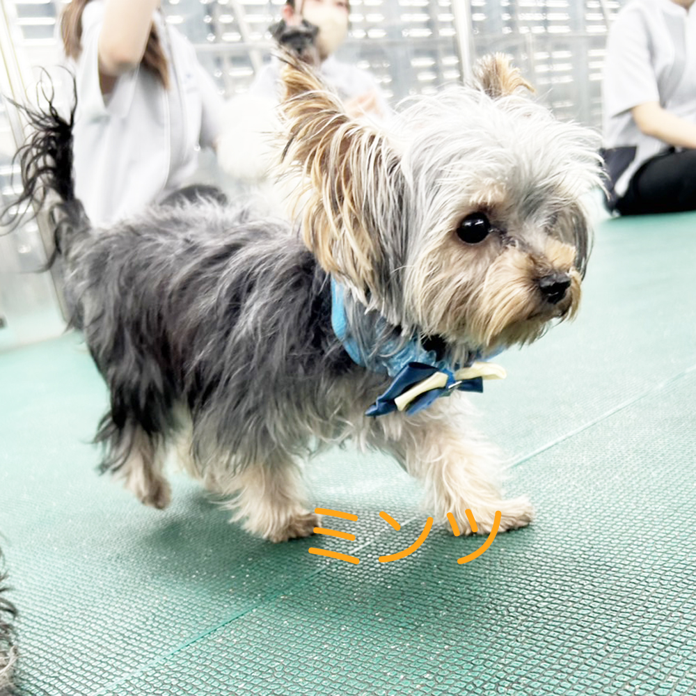 生徒が撮影してくれた写真②